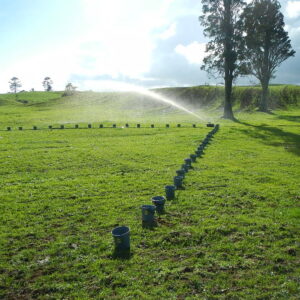 Kay Consulting Taranaki